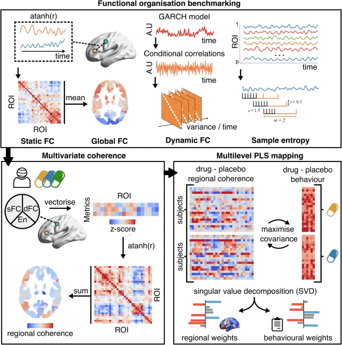 Spatiotemporal mapping of brain organisation following the administration of 2C-B and psilocybin figure